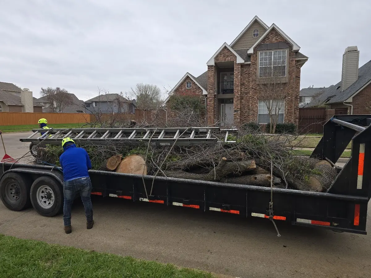 Expert Tree Fertilization with proper safety equipment in Paris